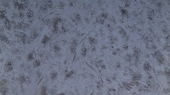042bd7bbefa4cfcf7eb8b42b9cdf2c39-1-columns2