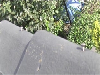 さいたま市大宮区 瓦止め釘浮き