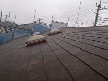 屋根にコケの繁殖があります