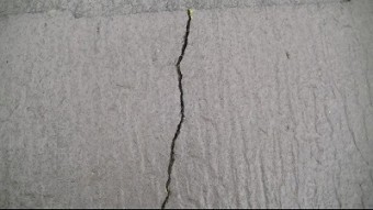 かわらにヒビが生えている