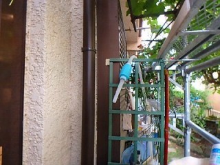 雨樋部分の取替えが行われた