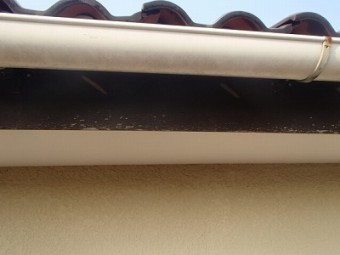 4P4160210-columns2