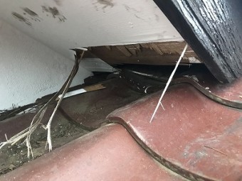 さいたま市西区 軒天 張替え