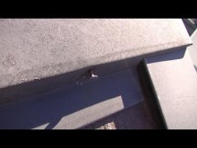 屋根の棟板金部分の止め釘が浮いています