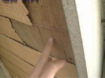 軒天 さいたま