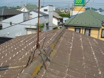 屋根 コケだらけ