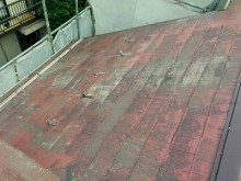 屋根表面に苔