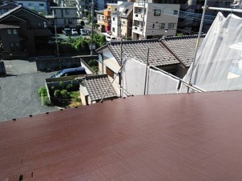 さいたま市桜区 ケイセラチタンクール チョコレート