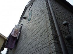 外壁の塗装を行う