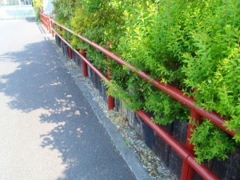 埼玉県 柵 塗装