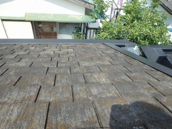 コケが繁殖している屋根