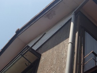 軒天 含水 埼玉 補修