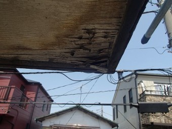 軒天