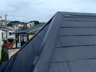 埼玉 棟板金 雨漏り