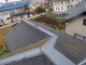 PC063565