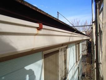 雨樋古い