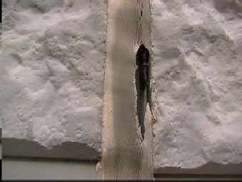 目地に亀裂が発生しているので雨水の浸入が懸念される