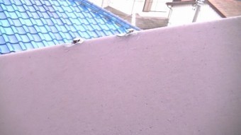 屋根 クギ なおす さいたま