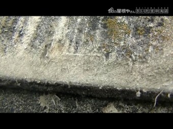 志木市 無料点検