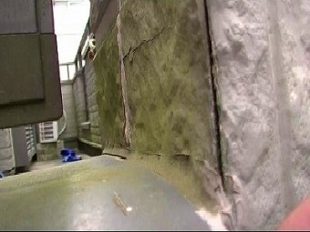 出隅部分の隙間があり、外壁表面もコケが繁殖している
