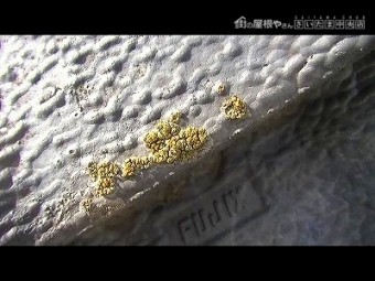 さいたま市大宮区 瓦屋根塗装