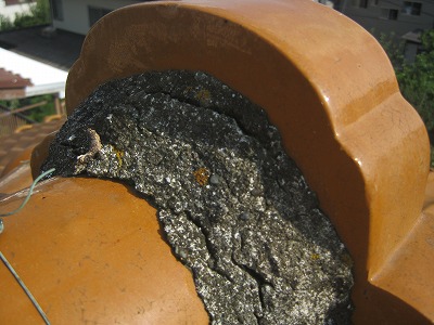 【さいたま市北区】漆喰・トタン屋根の劣化状況を点検しました