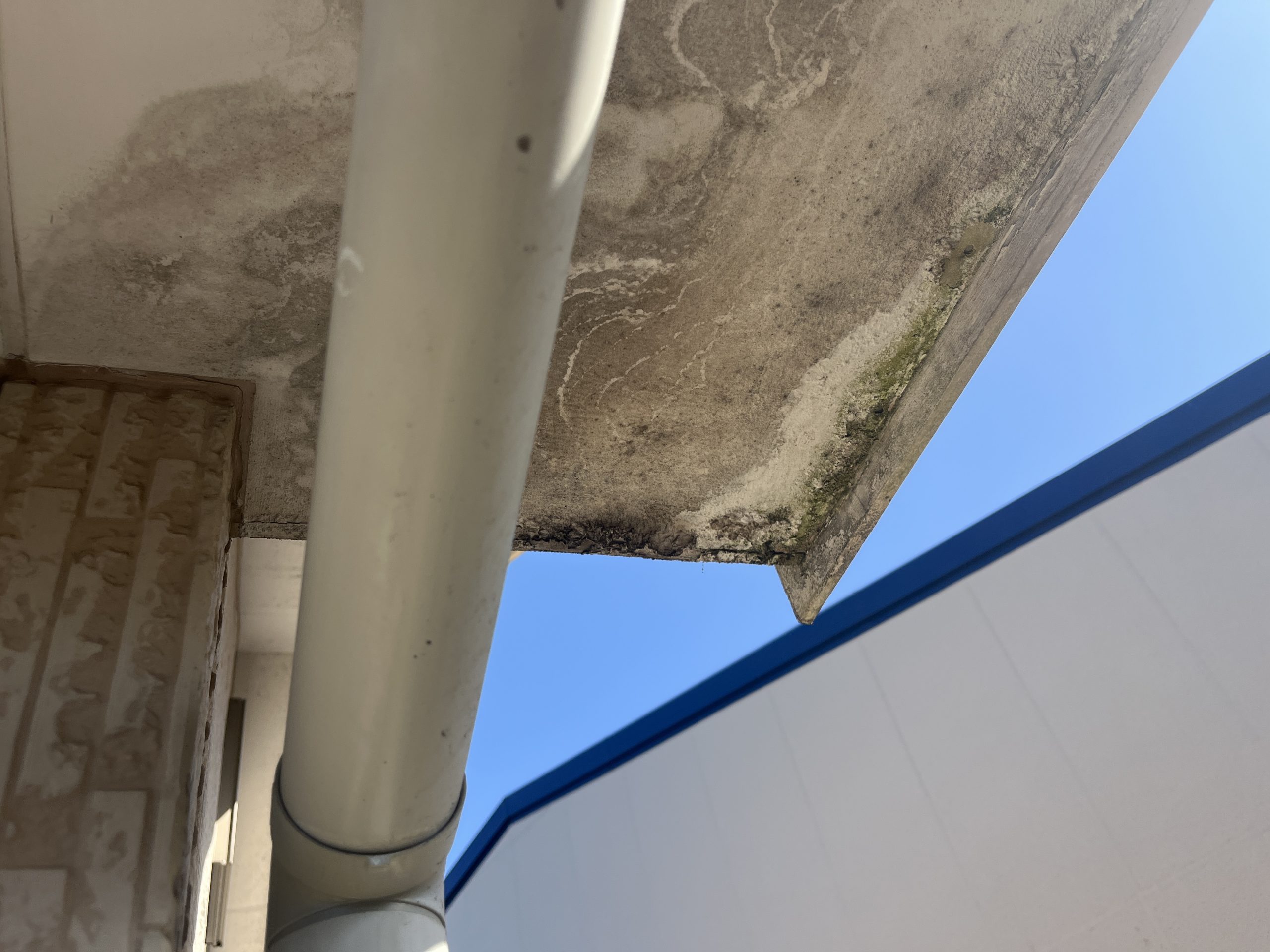 軒天・ケラバみられる水シミと苔