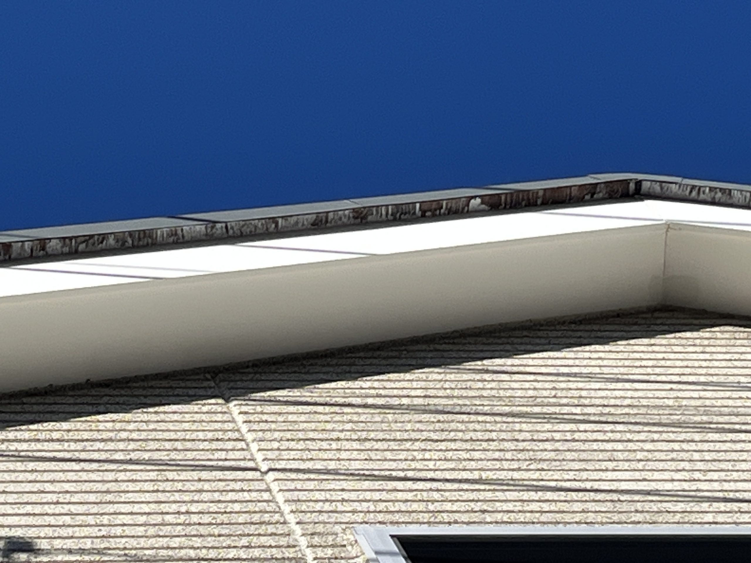 屋根の裏側の汚れ