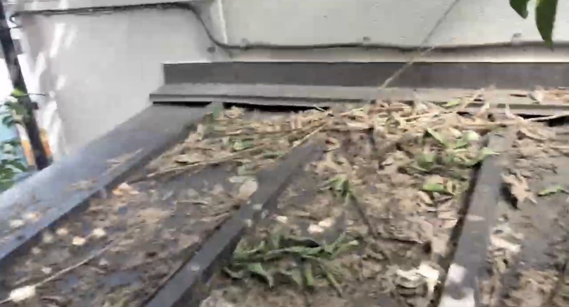 さいたま市浦和区の住宅で下屋の汚れと軒樋の落ち葉詰まりを発見！