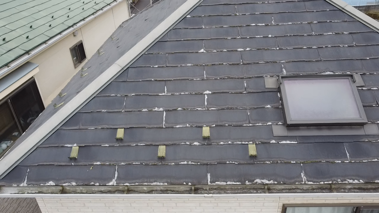 雨仕舞い部の劣化と苔の付着