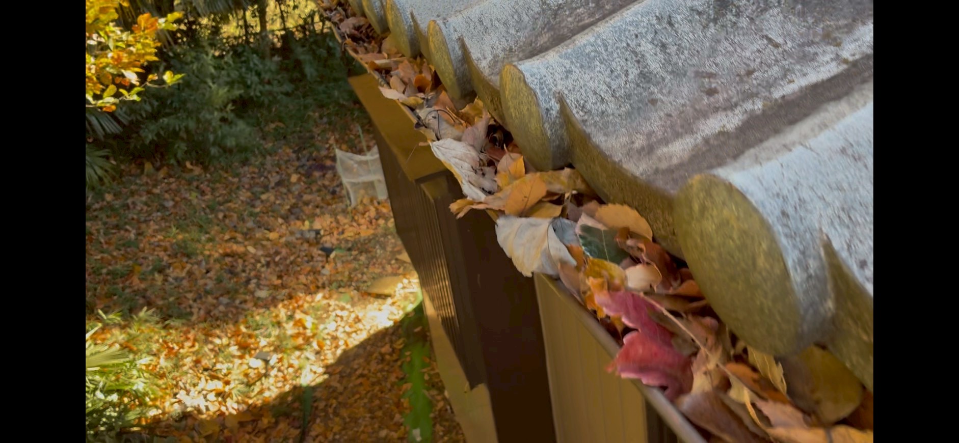 色褪せた瓦と落ち葉の溜まった樋