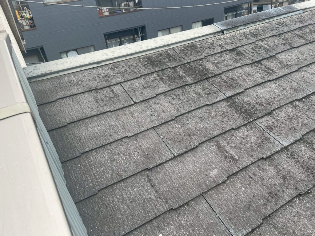 川口市で屋根塗装を検討中のスレート屋根に色あせと広範囲の汚れを確認した現地調査