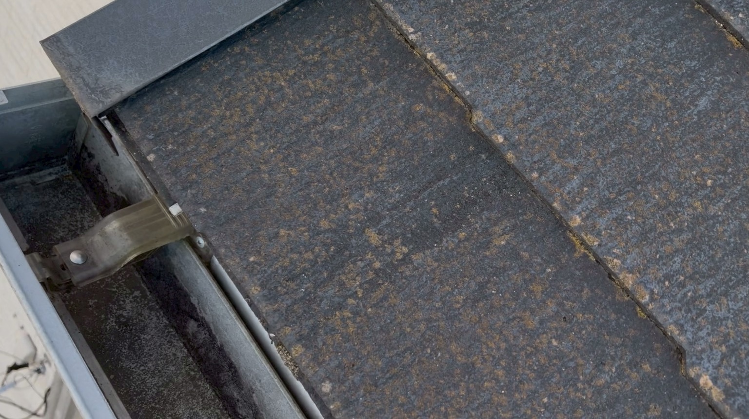 軒先に発生した苔