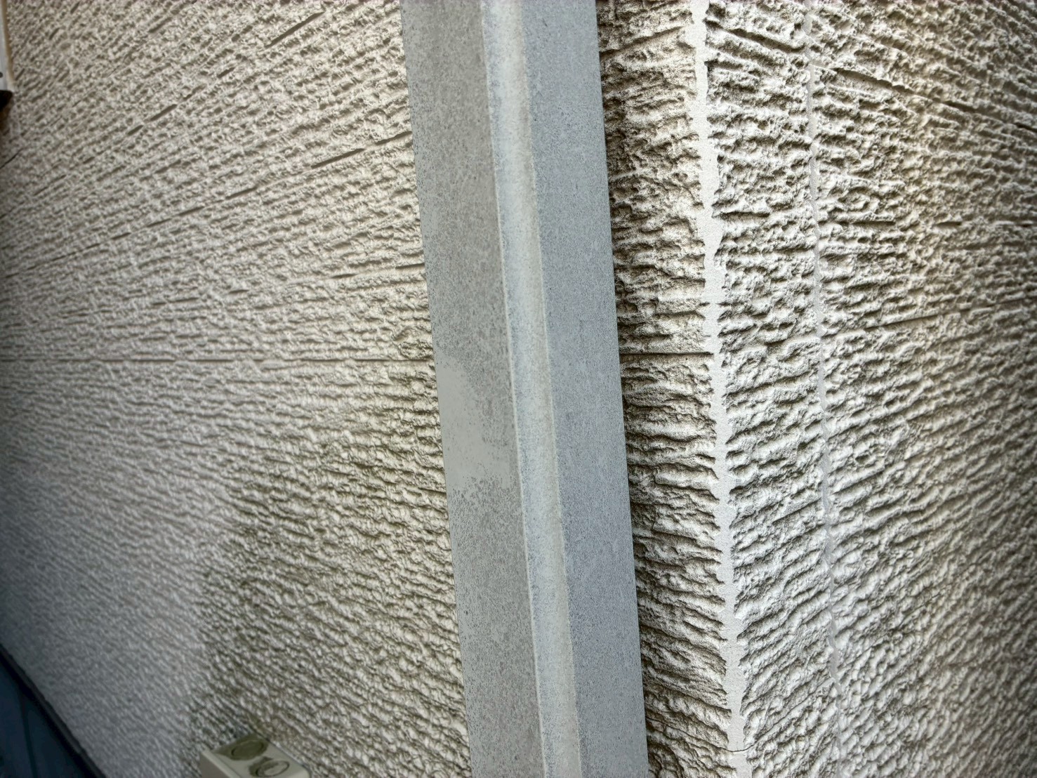 樋の周辺に苔が発生している白い外壁