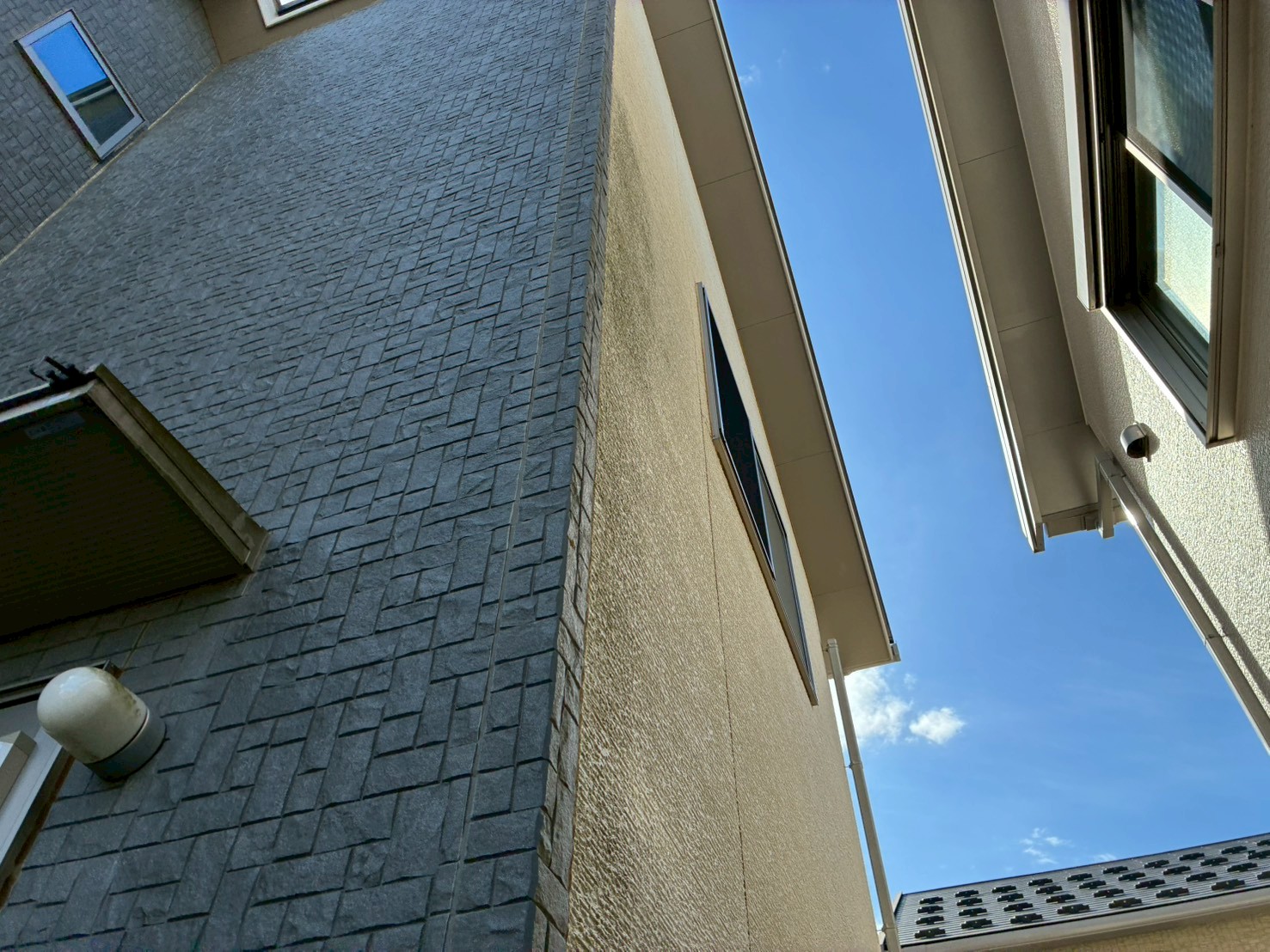 2階まで苔が広がっている白いサイディング