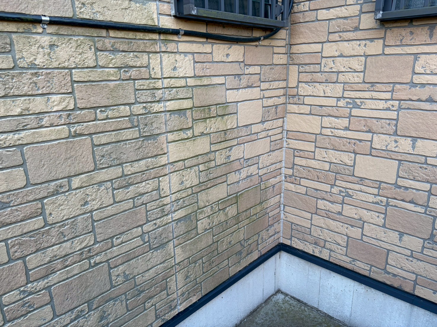 苔が発生して黒ずんでいる外壁