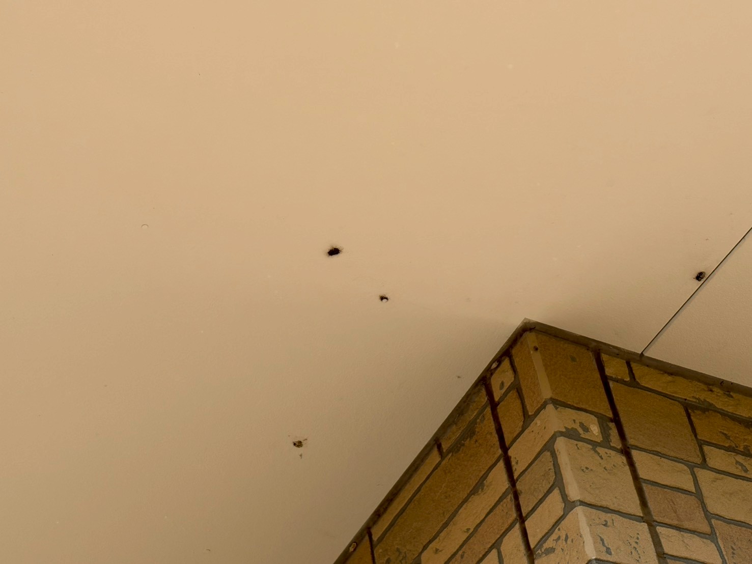 軒天に釘の浮きと黒いシミを発見