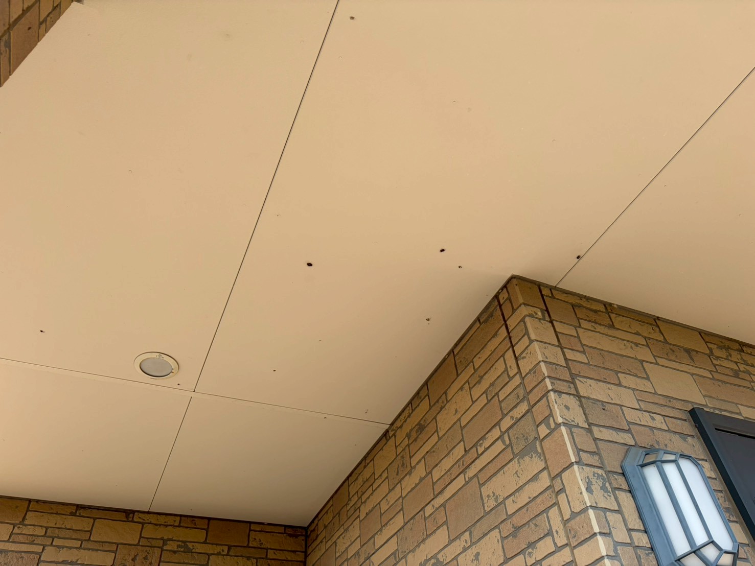 軒天に黒いシミが発生している