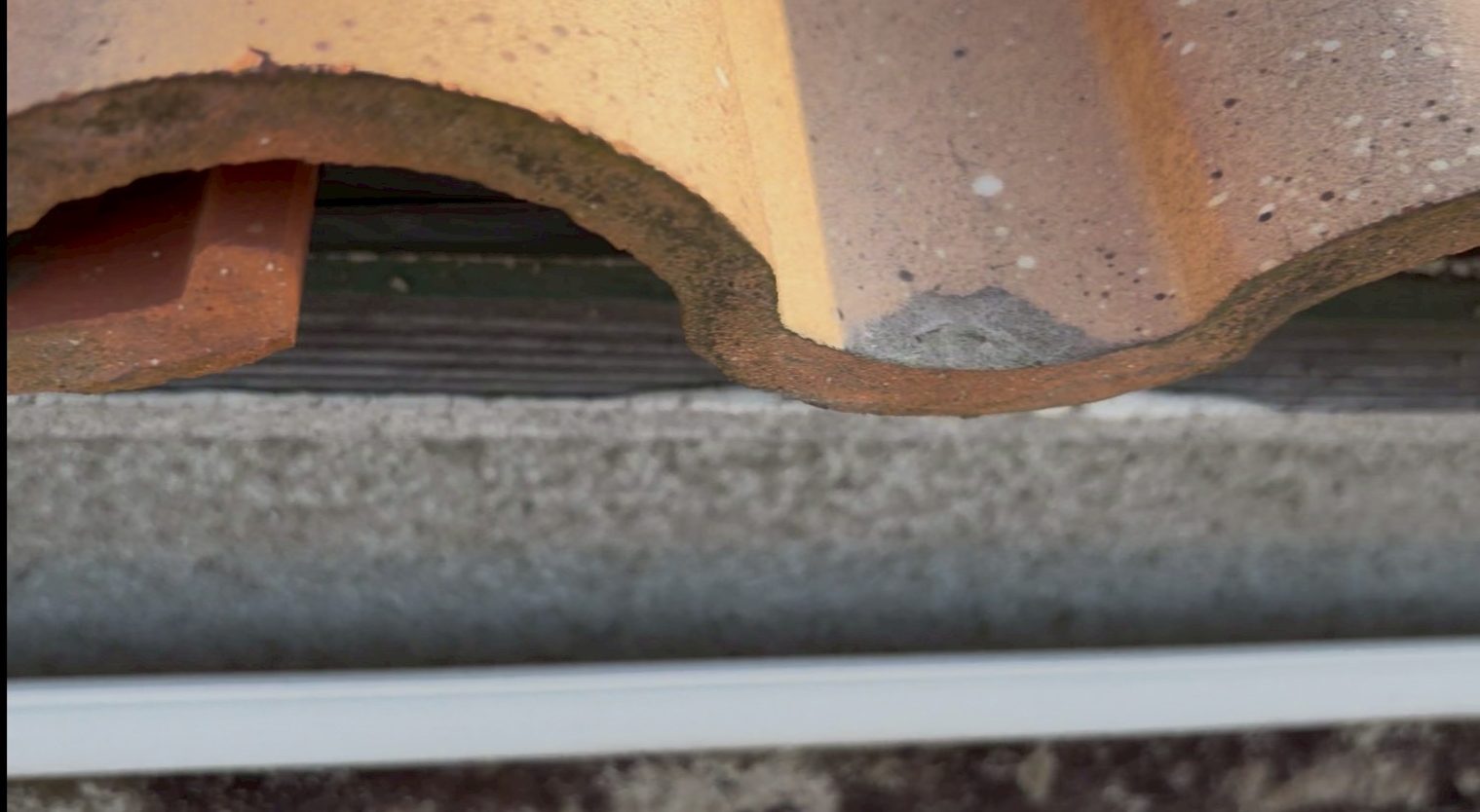 軒先部分に欠けが見られるモニエル瓦