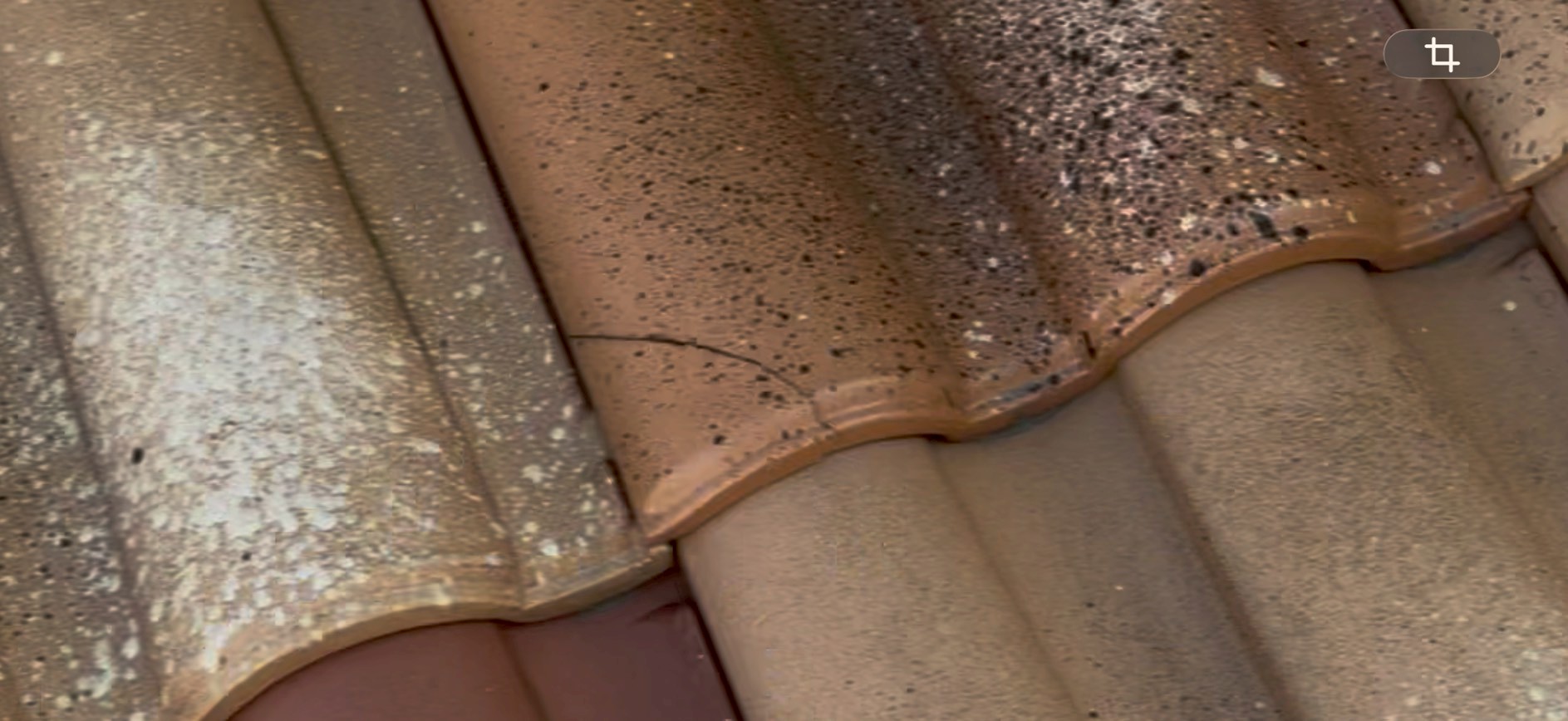 ひび割れが発生しているモニエル瓦