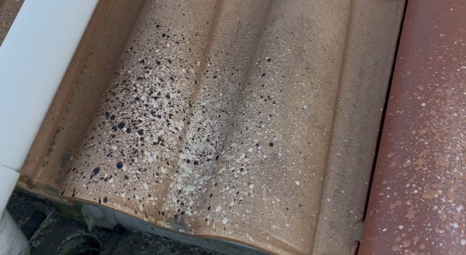 色褪せが発生し始めているモニエル瓦