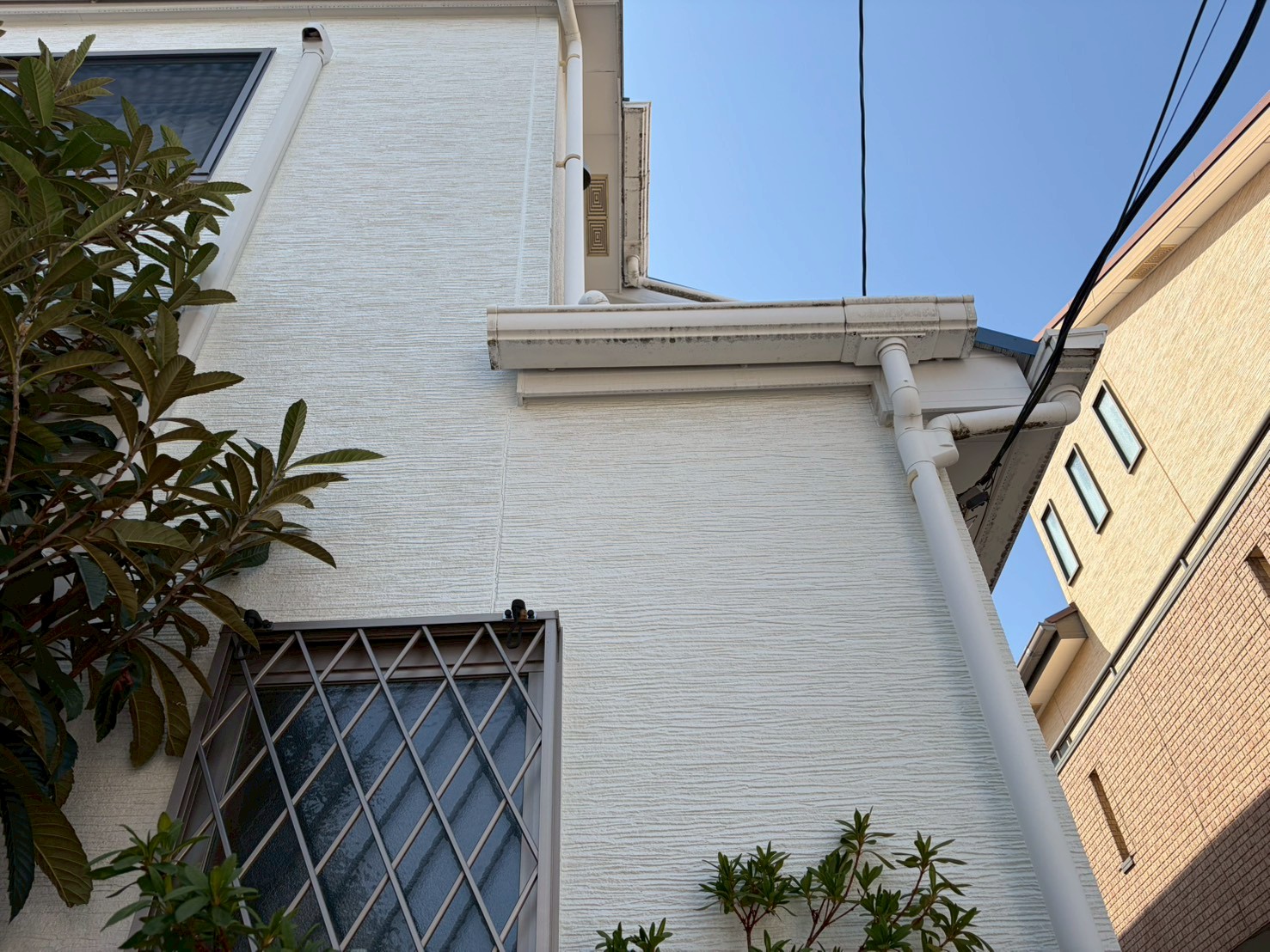 ぱっと見はキレイな白の外壁