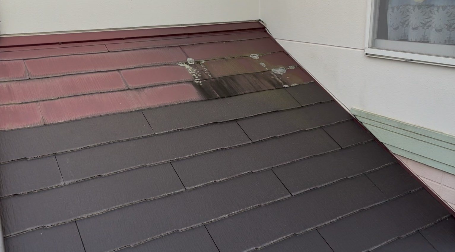 カビの発生しているスレート屋根