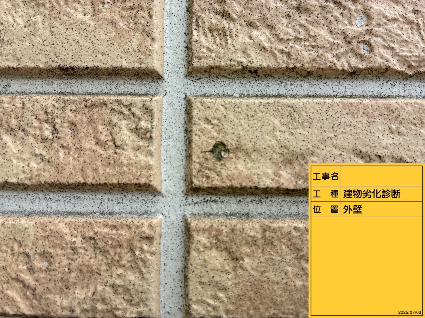 固定用釘の頭が露出したサイディング外壁