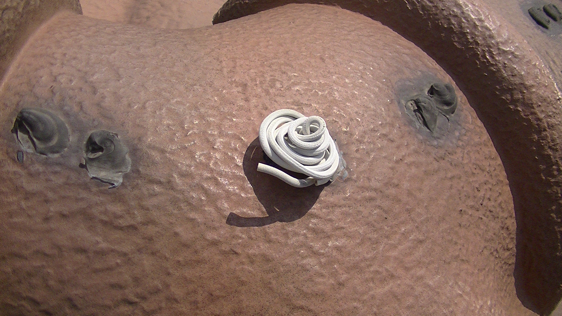 棟頂部の補修跡と表面の劣化