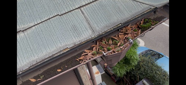 集水器に枯れ葉が溜まった状態