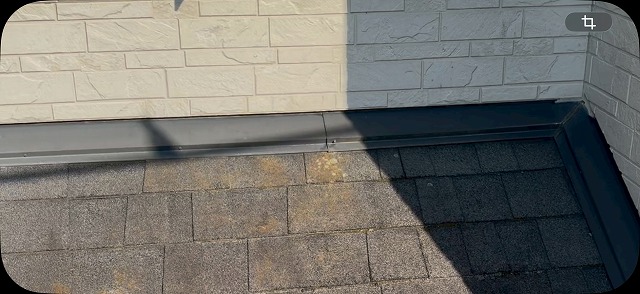 下屋根の苔