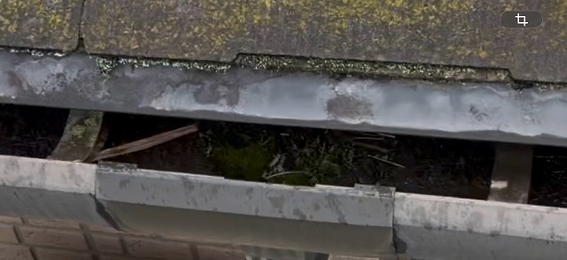 色褪せた雨樋