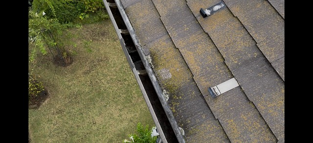行田市でコロニアルNEOの屋根調査！苔やカビなどの劣化を防ぐ工事提案とは？