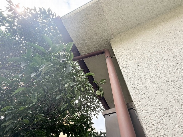 色褪せた竪樋